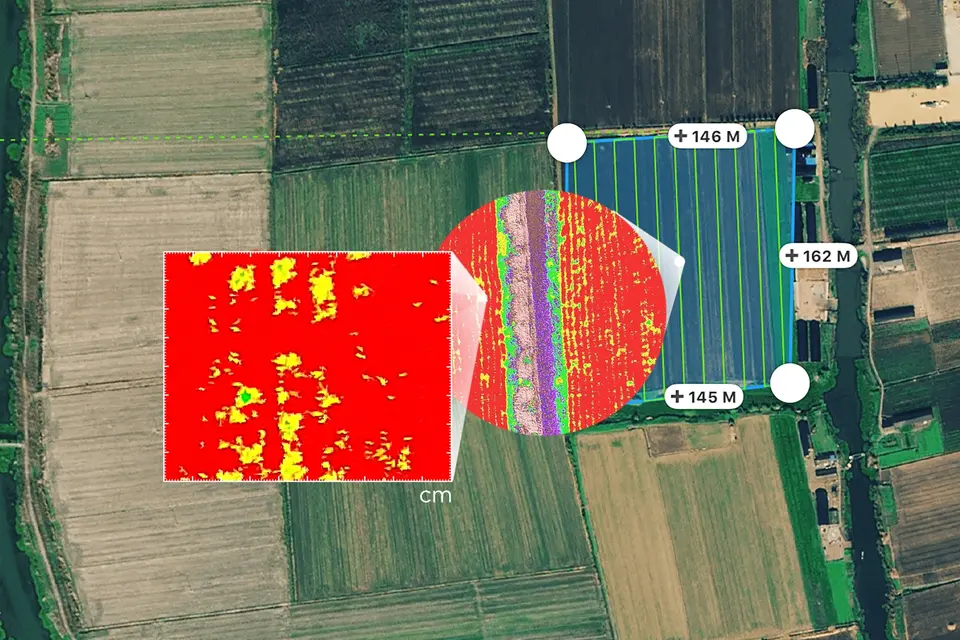 phantom4 multispectral, drone agriculture, NDVI